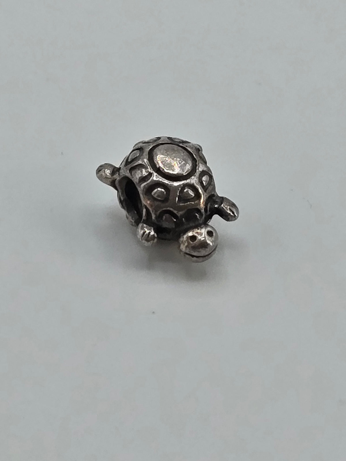 Pandora Turtle Charm