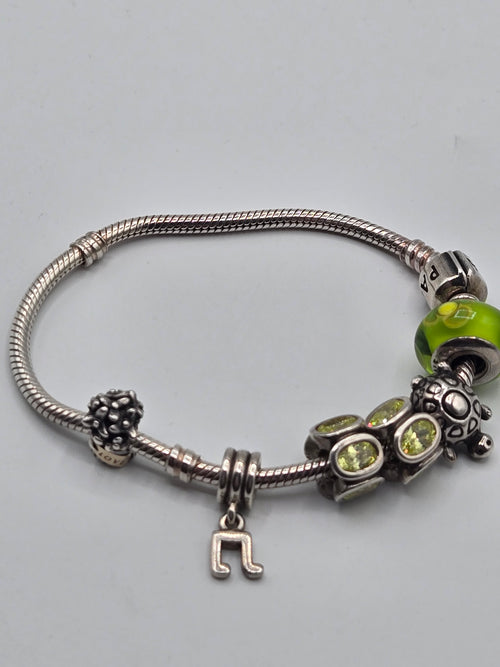 Pandora Bracelet with 6 Charms (18.5cm)