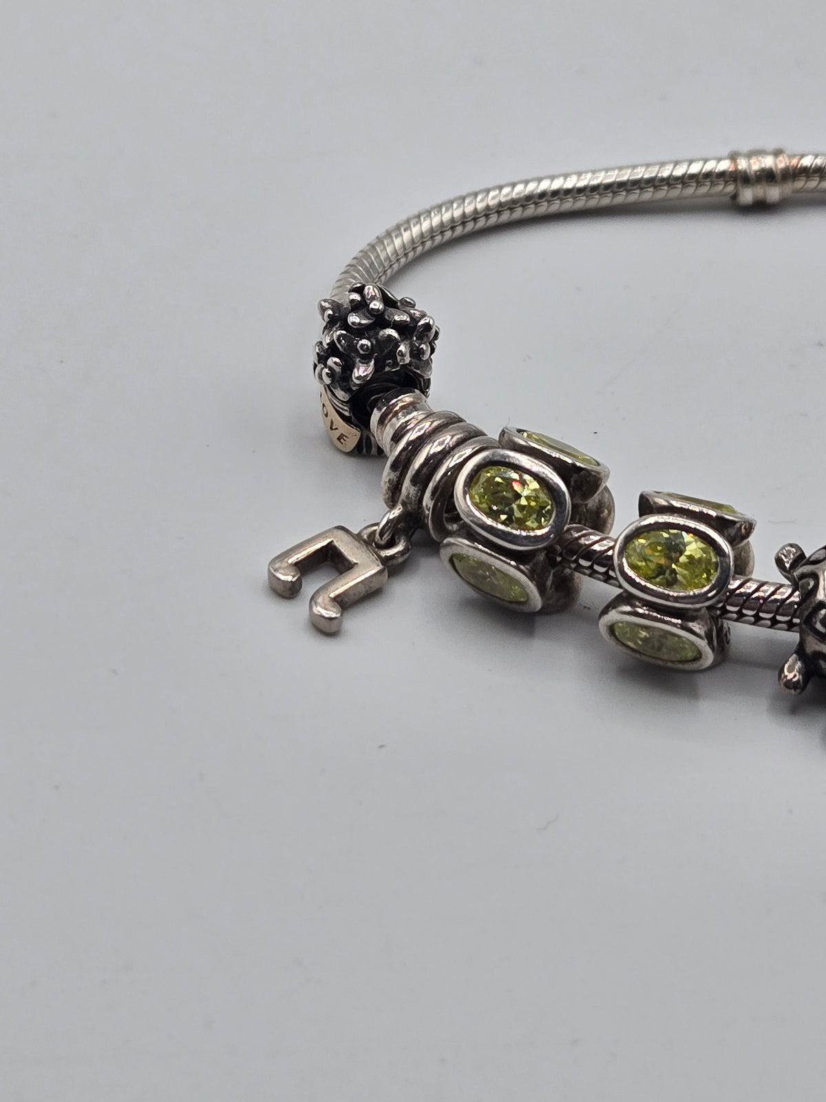 Pandora Bracelet with 6 Charms (18.5cm)