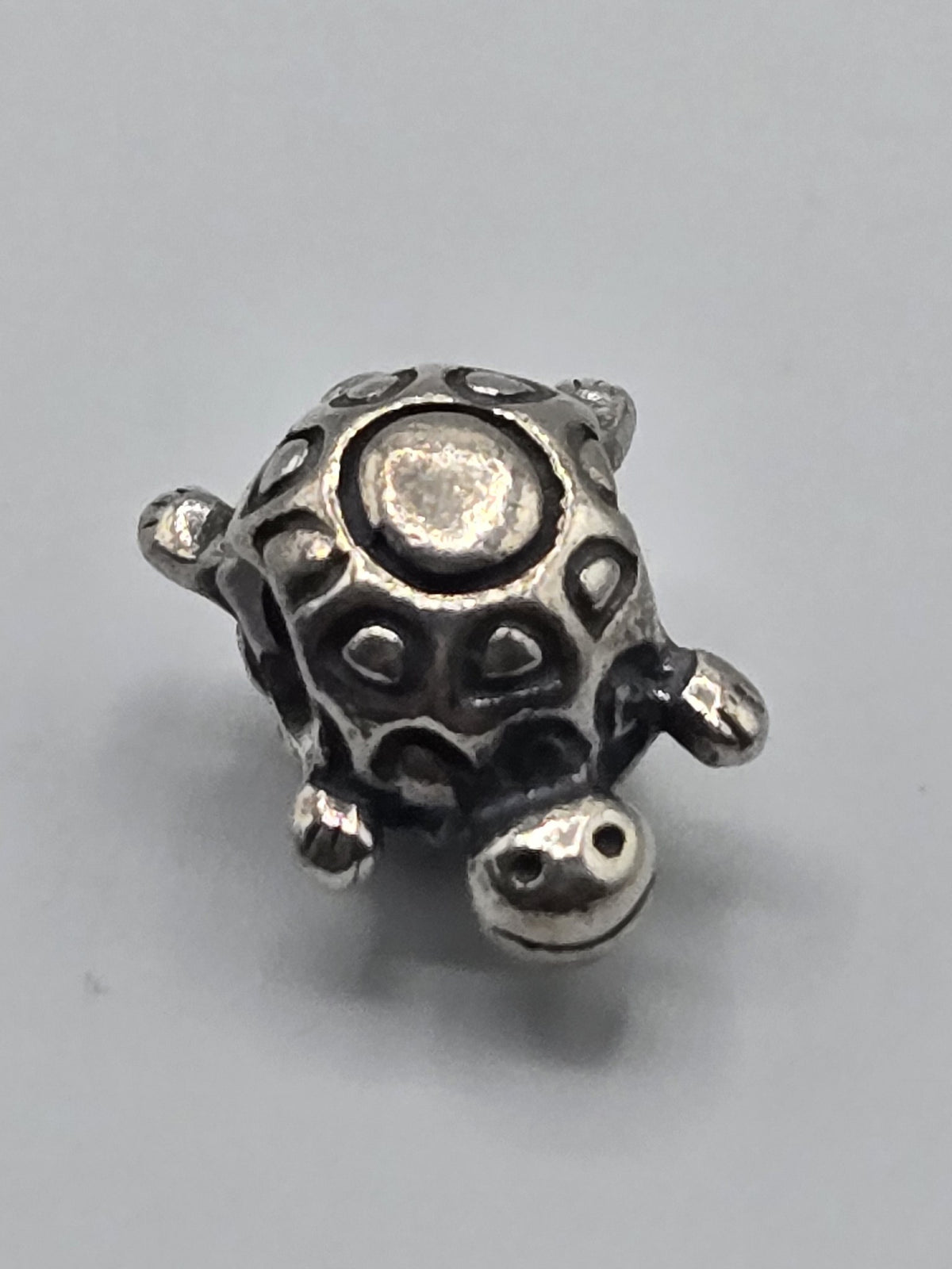 Pandora Turtle Charm on a plain light background